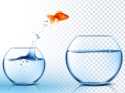 https://lmse-ppd.lemediasocial-emploi.fr/media/cache/articles_thumbnail/uploads/images/articles-small/5c9e2a63c35b5_Conseils_Poisson avril.jpeg